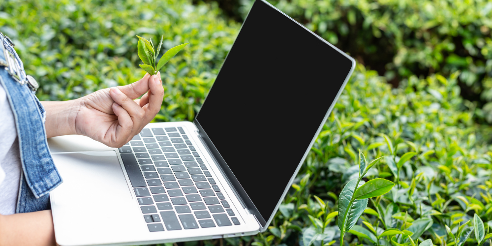 Recyclable and sustainable materials